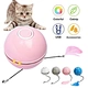 cat balls light up